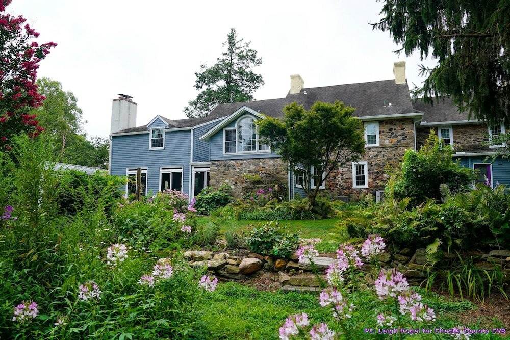 Фото Wild Wisteria