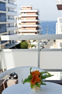 Гостиница Amaryllis Hotel