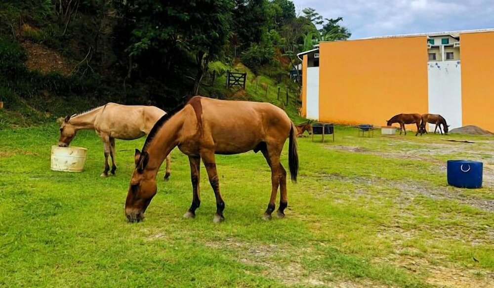 Фото Pousada Jovimar