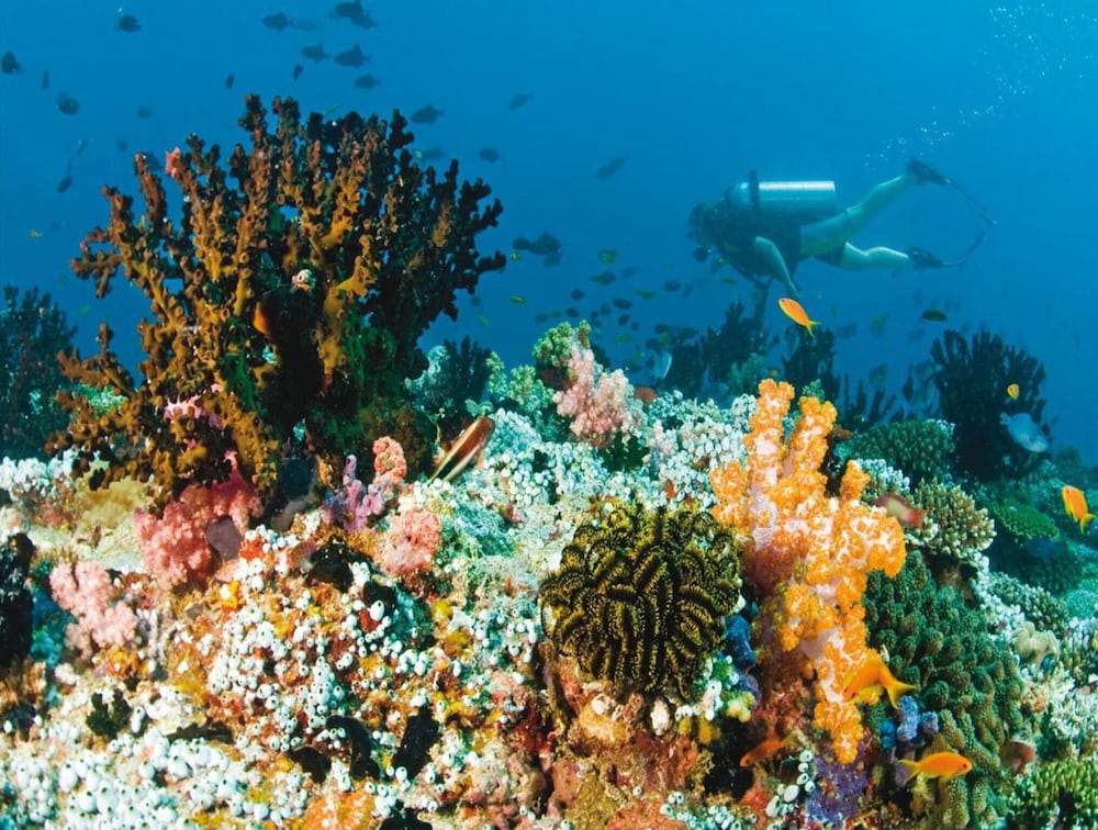 Фото Vista Beach Retreat