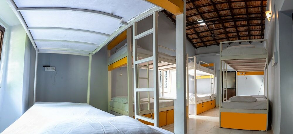 Фото Backpacker Panda Goa