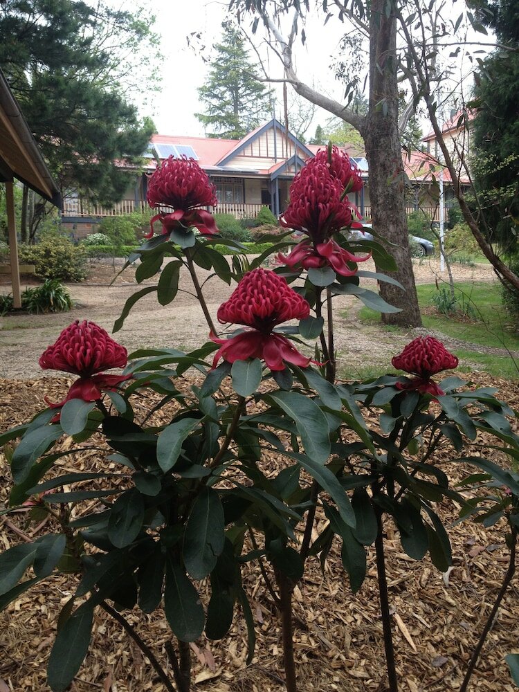 Фото Bethany Manor Bed & Breakfast