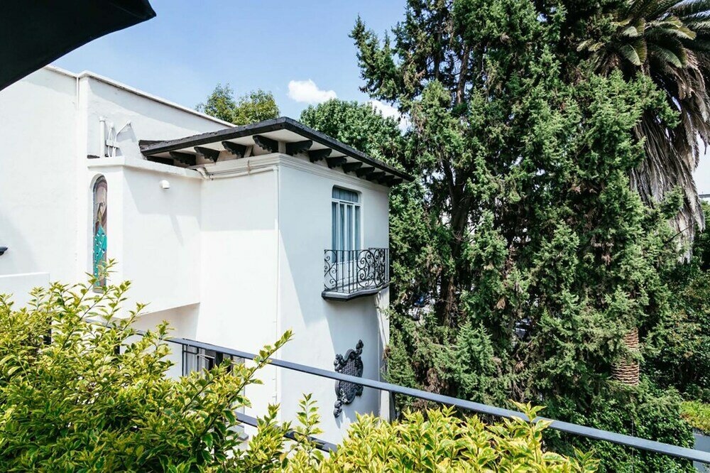 Фото Pug Seal Polanco Allan Poe