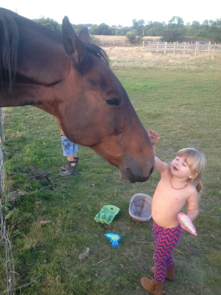 Фото Stable Oak Cottages