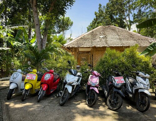 Внешний вид отеля Alona Pawikan в Панглао, фото 2