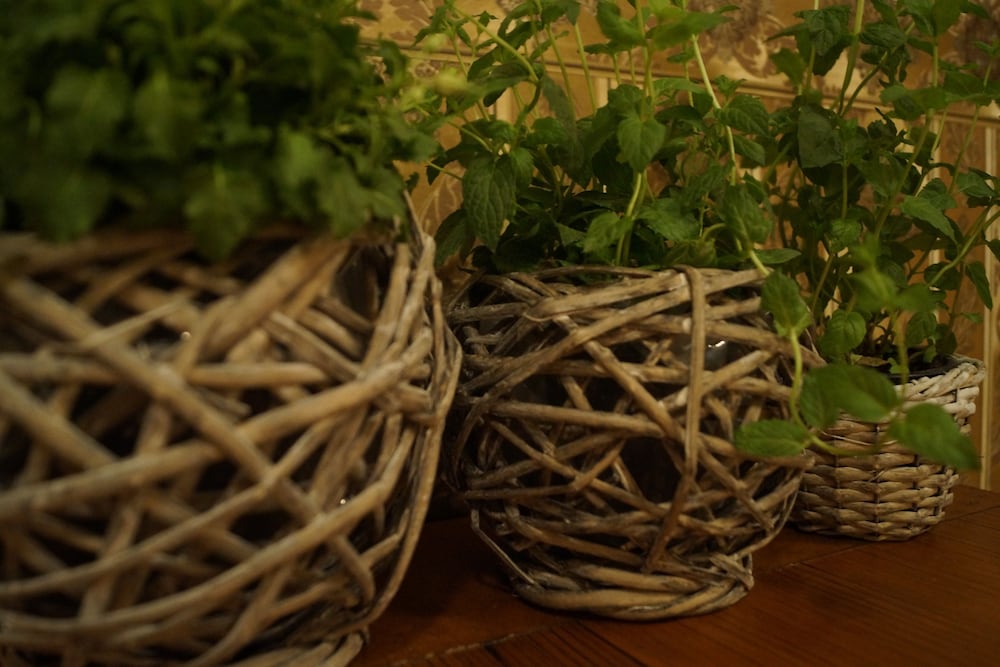 Фото Boutique Troy Hotel