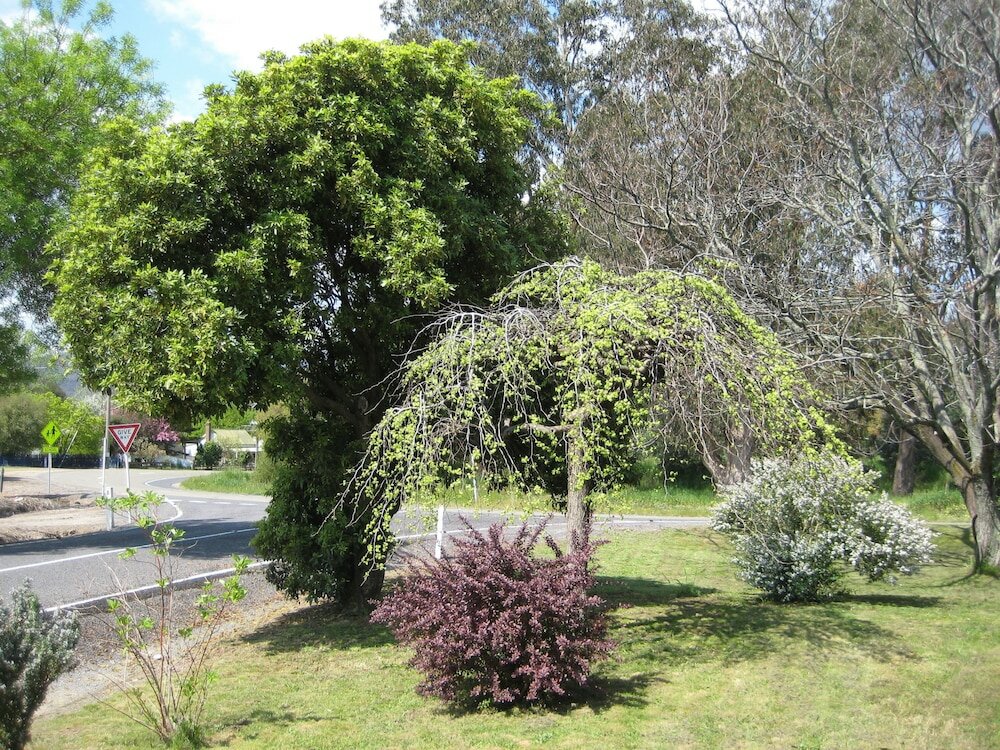 Фото Nathan's Place