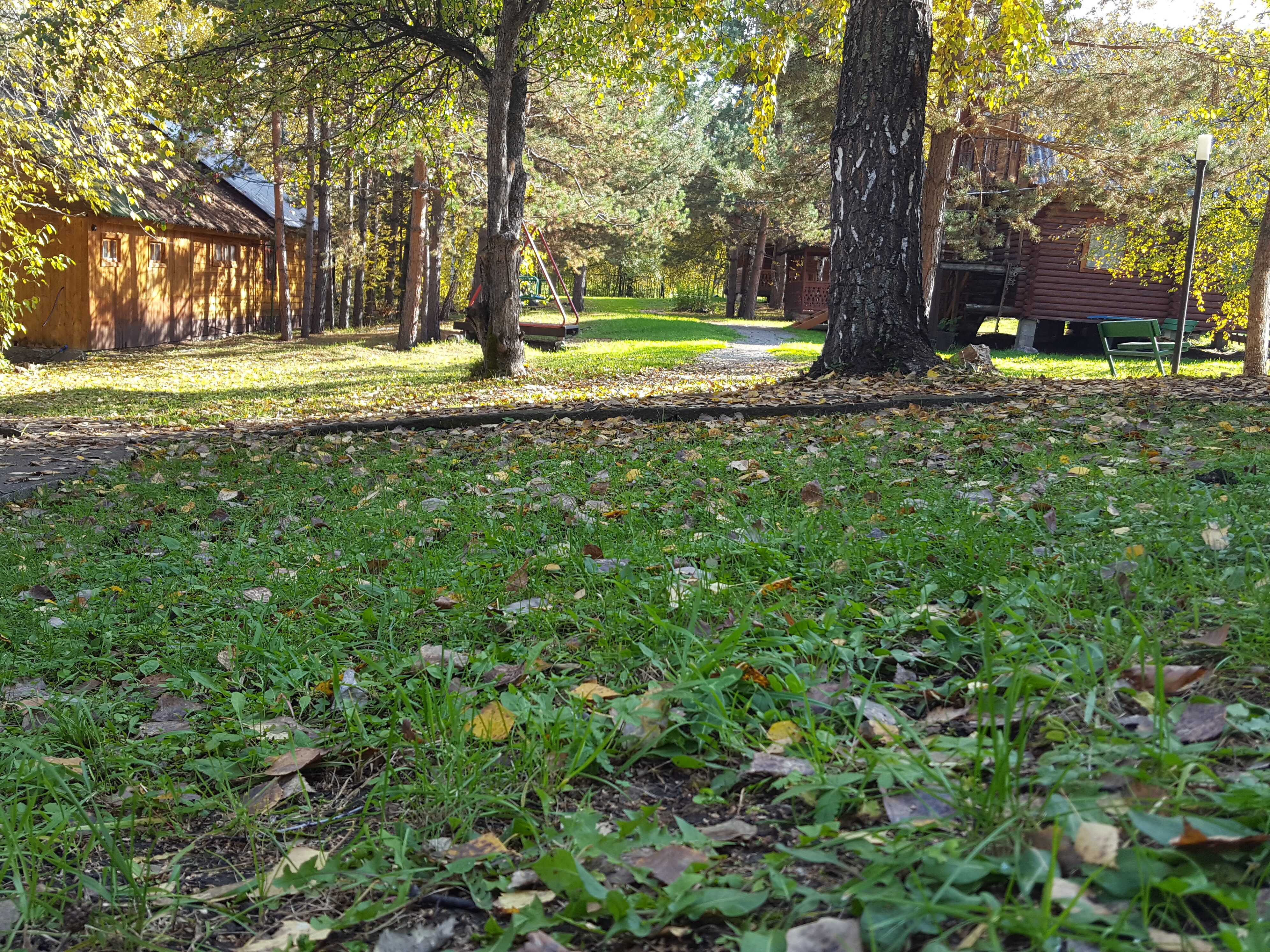 Фото Летний сад