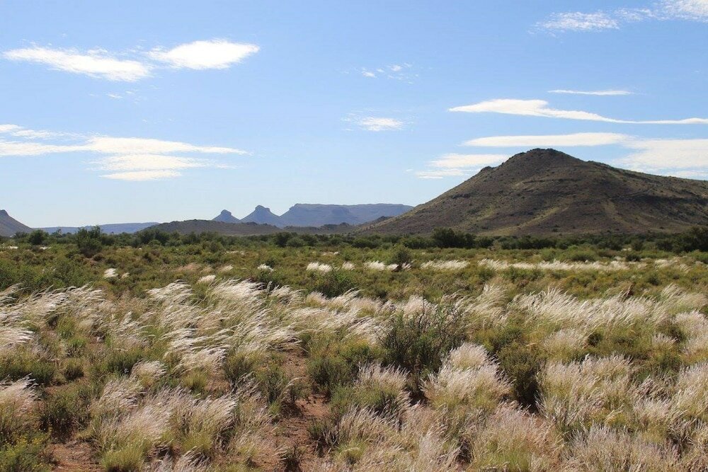 Фото Travalia Guest Farm