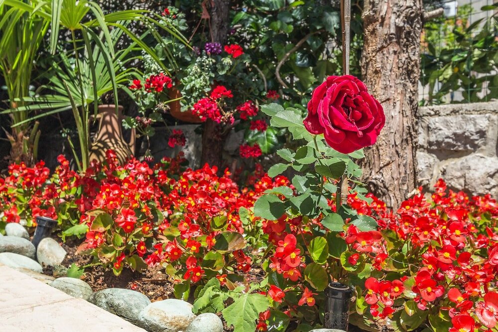 Фото Villa Roses Apartments & Wellness