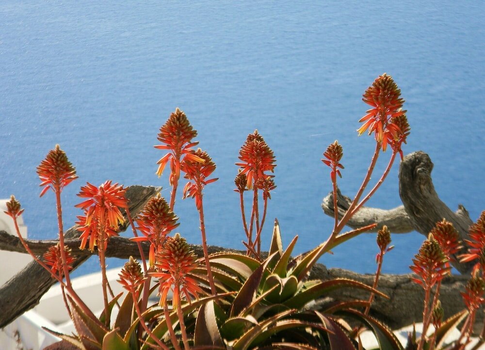 Фото Stilvi Suite