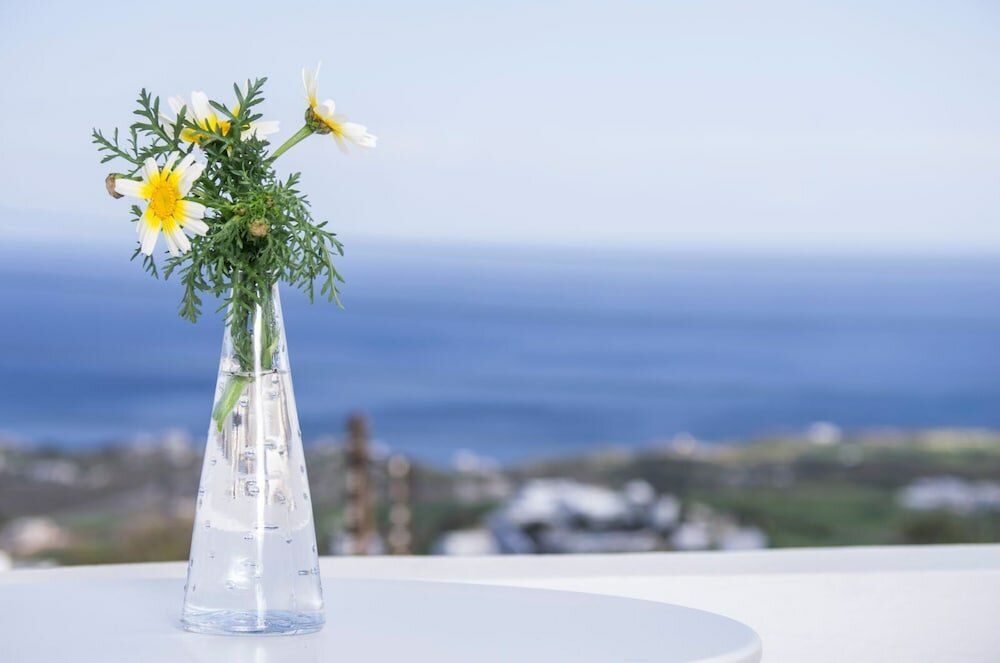 Фото Villa Erofili