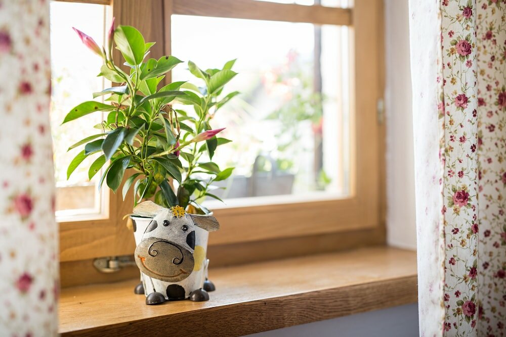 Фото Old Bled House