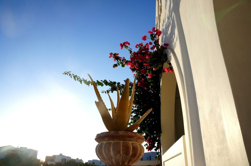 Фото Blue Harmony Apartments