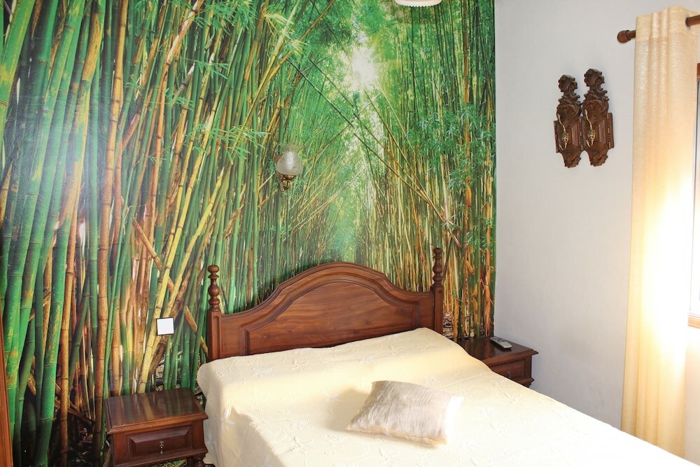 Фото Pensão França