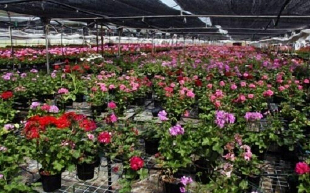 Фото Agroturismo Ibarrondo Etxea