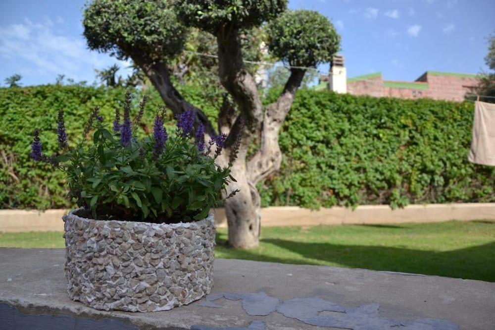 Фото B&b Villa Rosanna