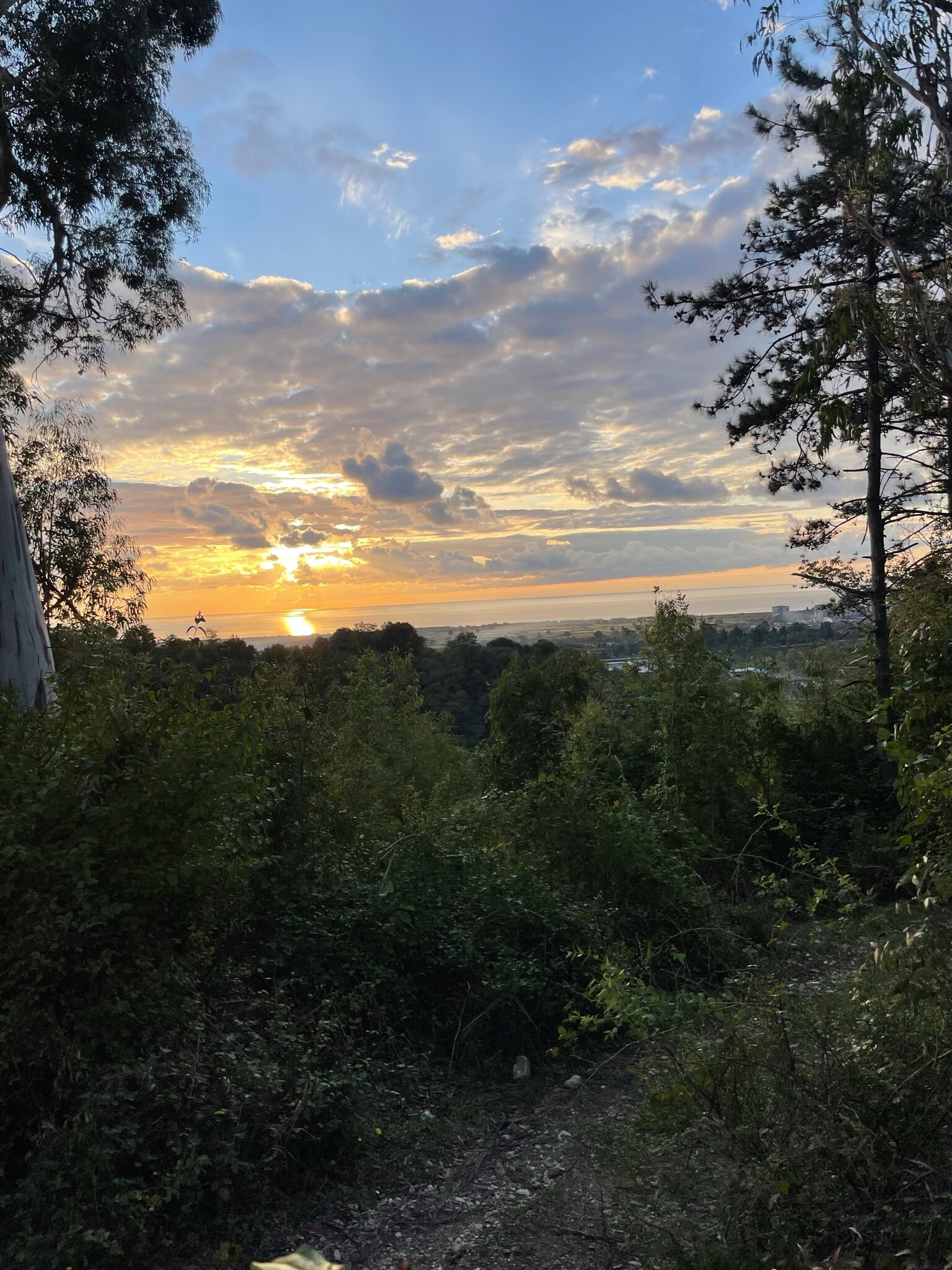 Фото Вилла Монте-Гагра