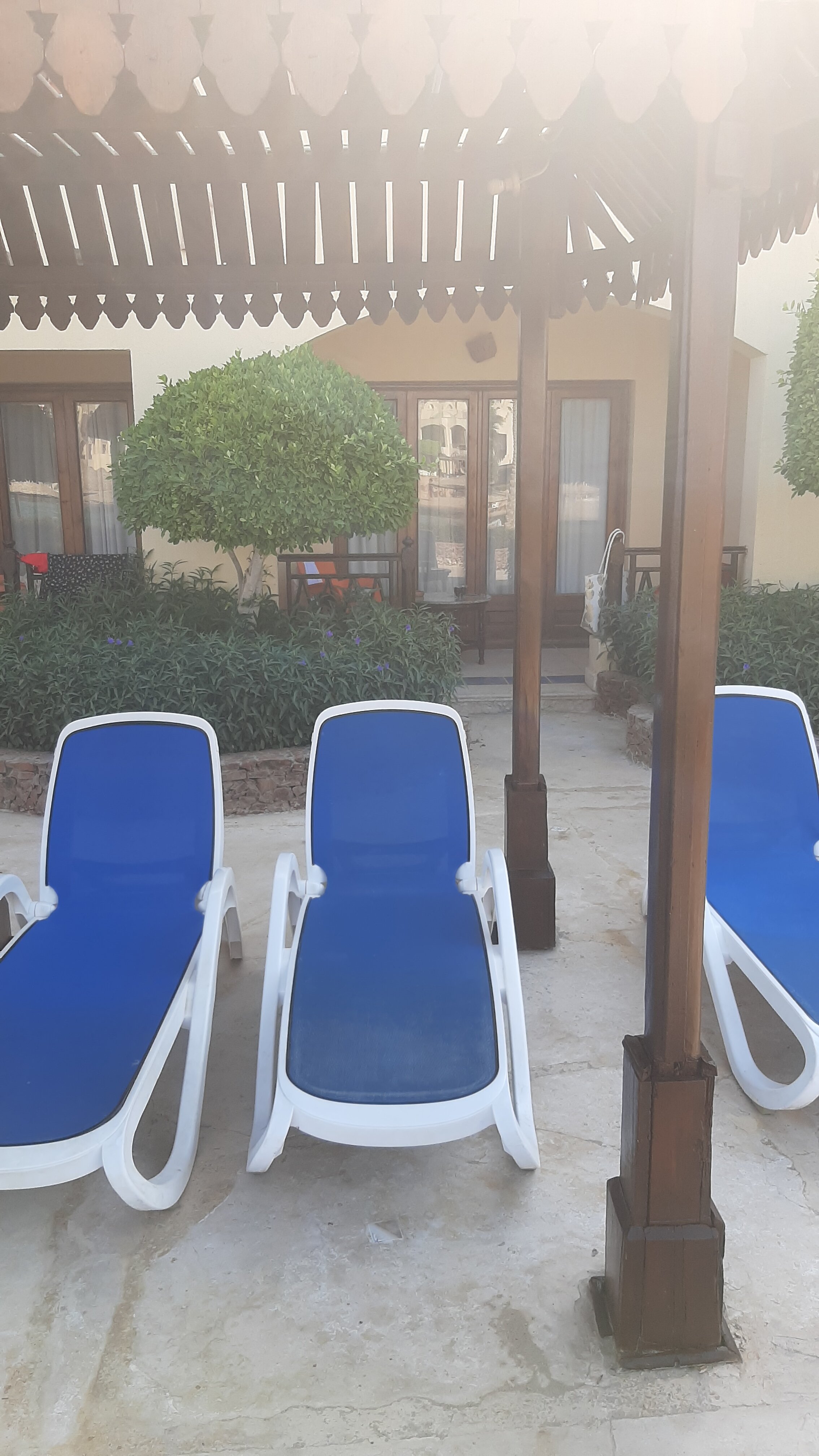 Фото Sunny Days Palma De Mirette