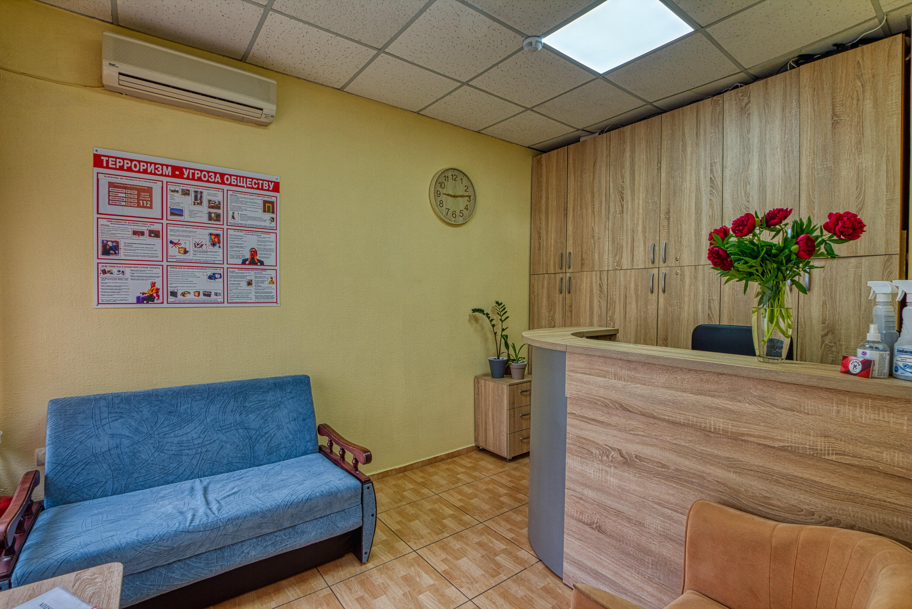 Фото Пеликан