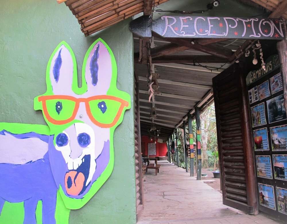 Фото Amapondo Backpackers