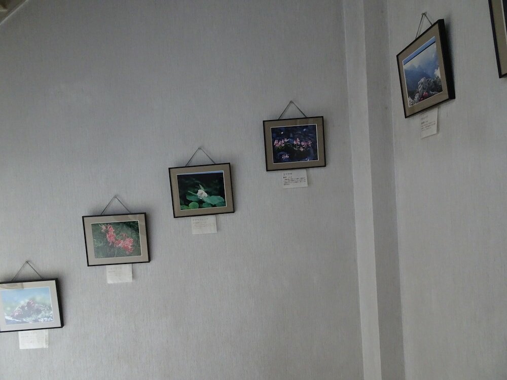 Фото Hakuba Glad Inn Ebisuya