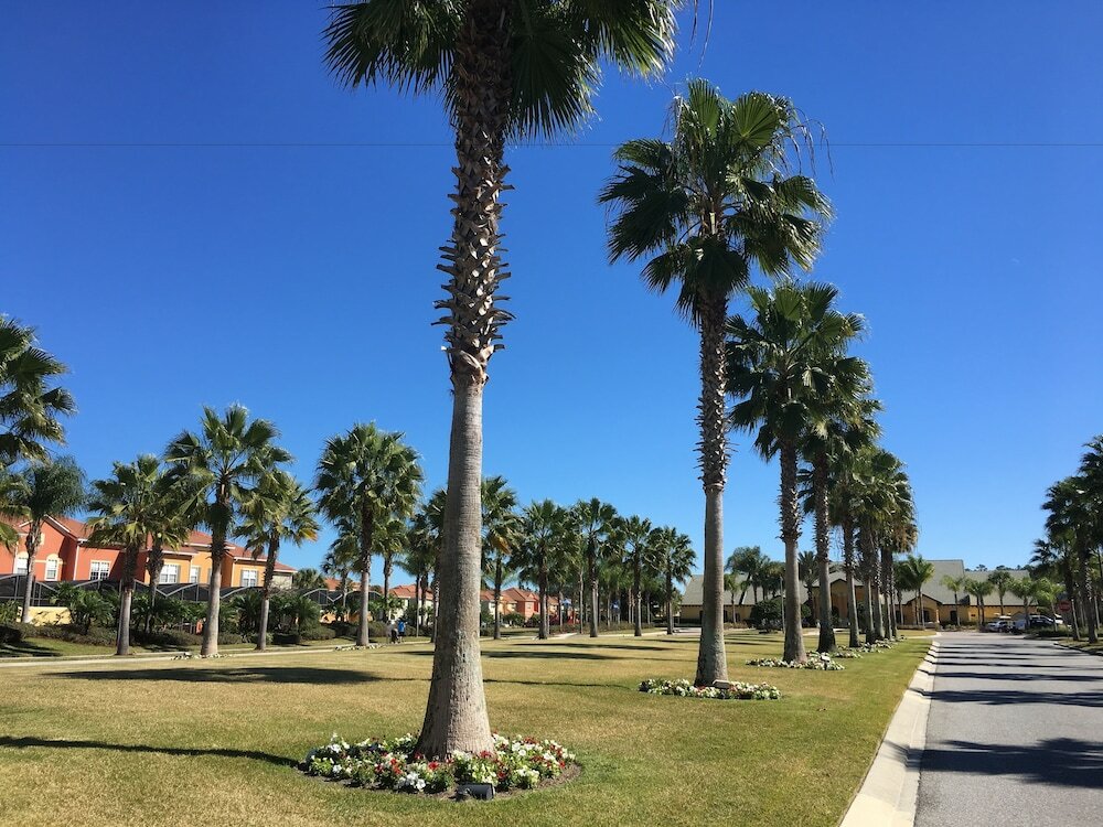 Фото Paradise Palms Resort by Dws Vacation Villas