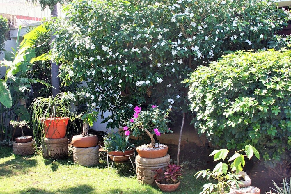 Фото 26207034213