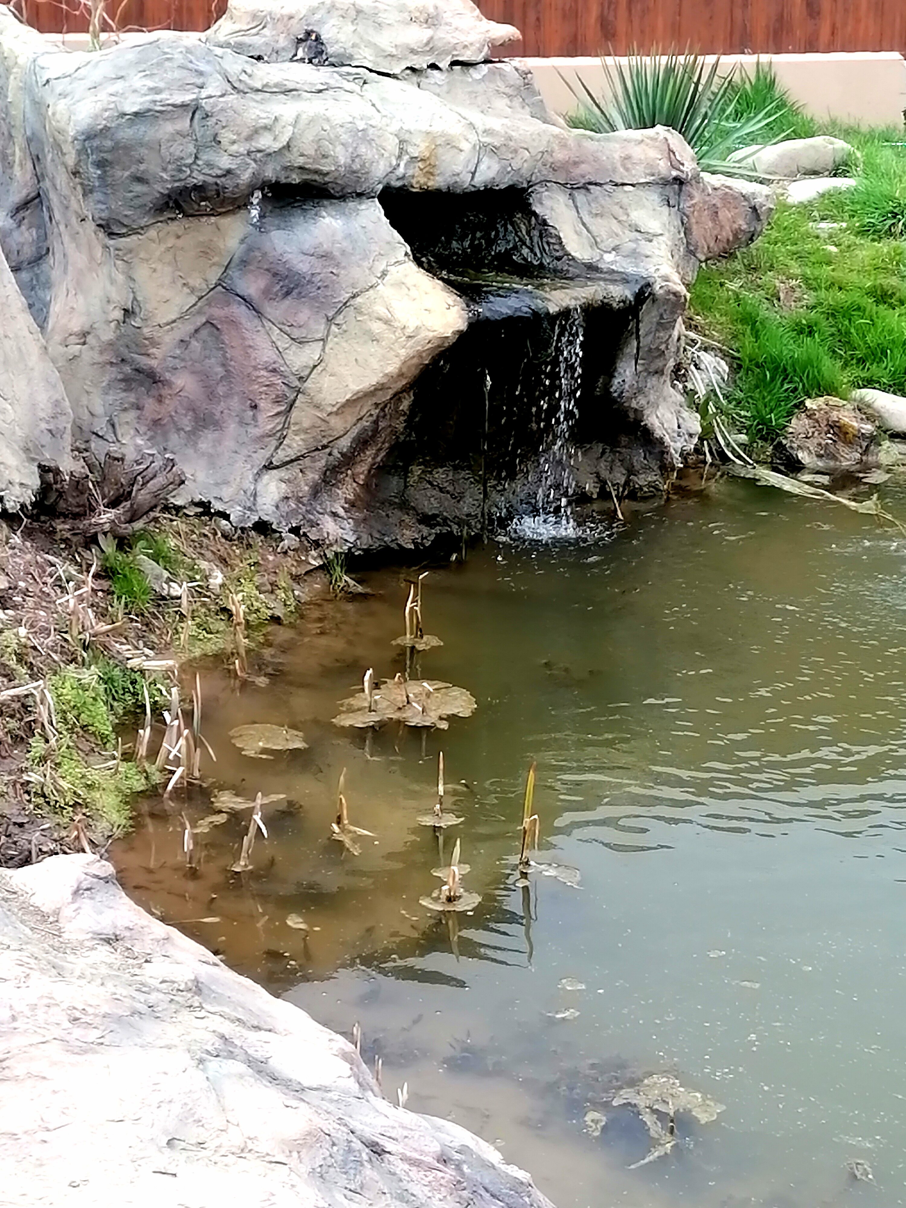 Фото АльтаРио