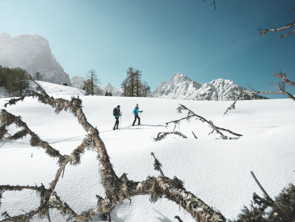 Фото AlpinLodges Matrei