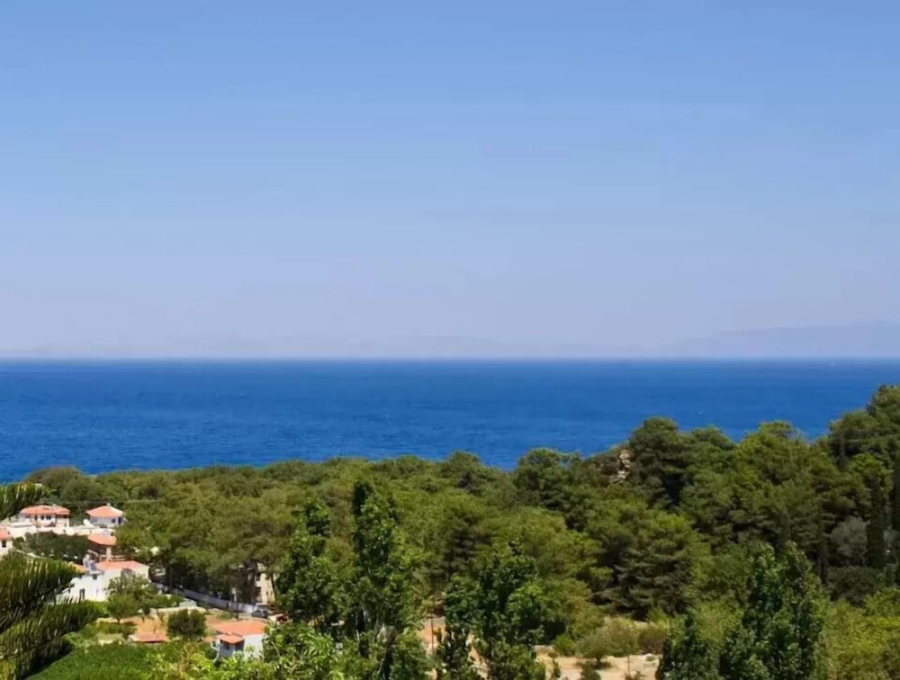 Фото Daphne Hotel