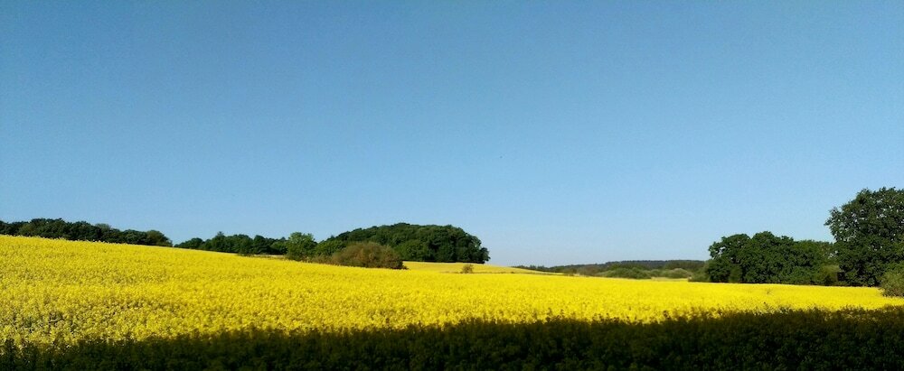 Фото Hotel Nordischer Hof