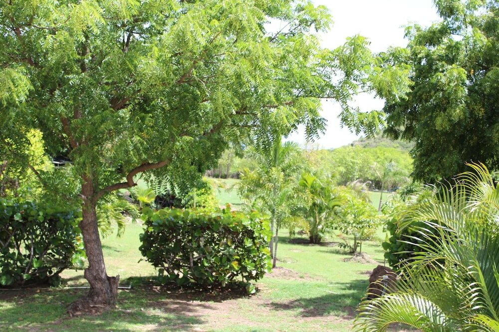 Фото South Coast Horizons