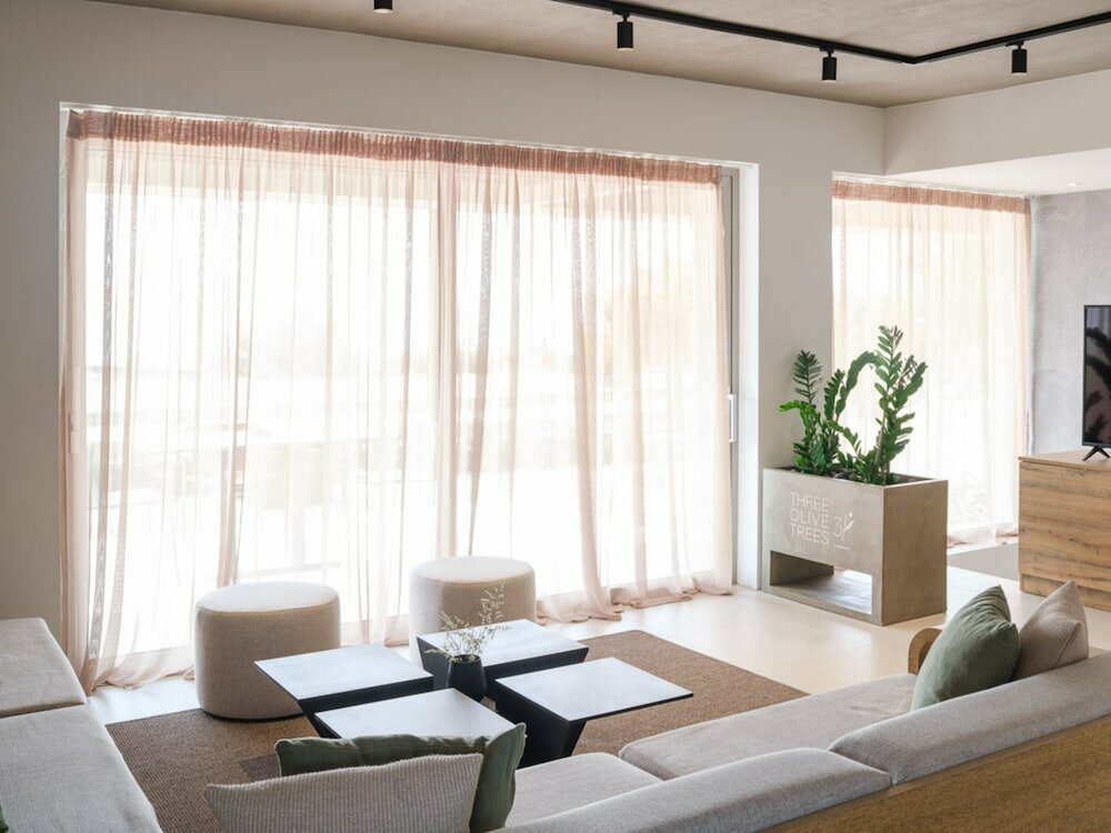 Фото 3 Olive Trees