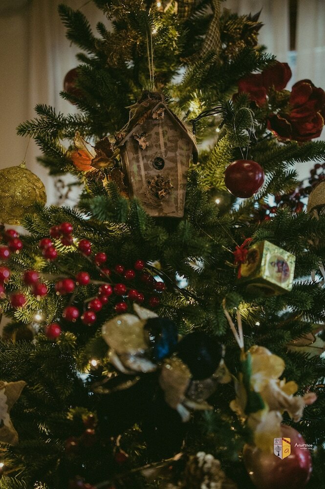 Фото Arkefthos Mountain Hotel