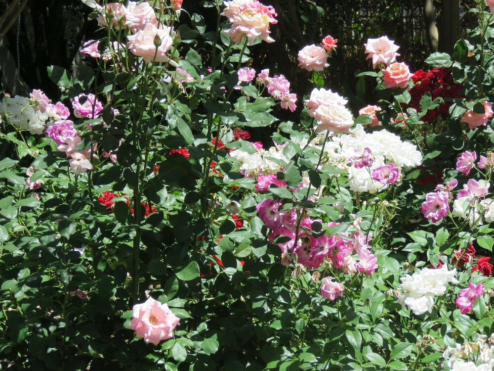 Фото 7 Church Street Guest House