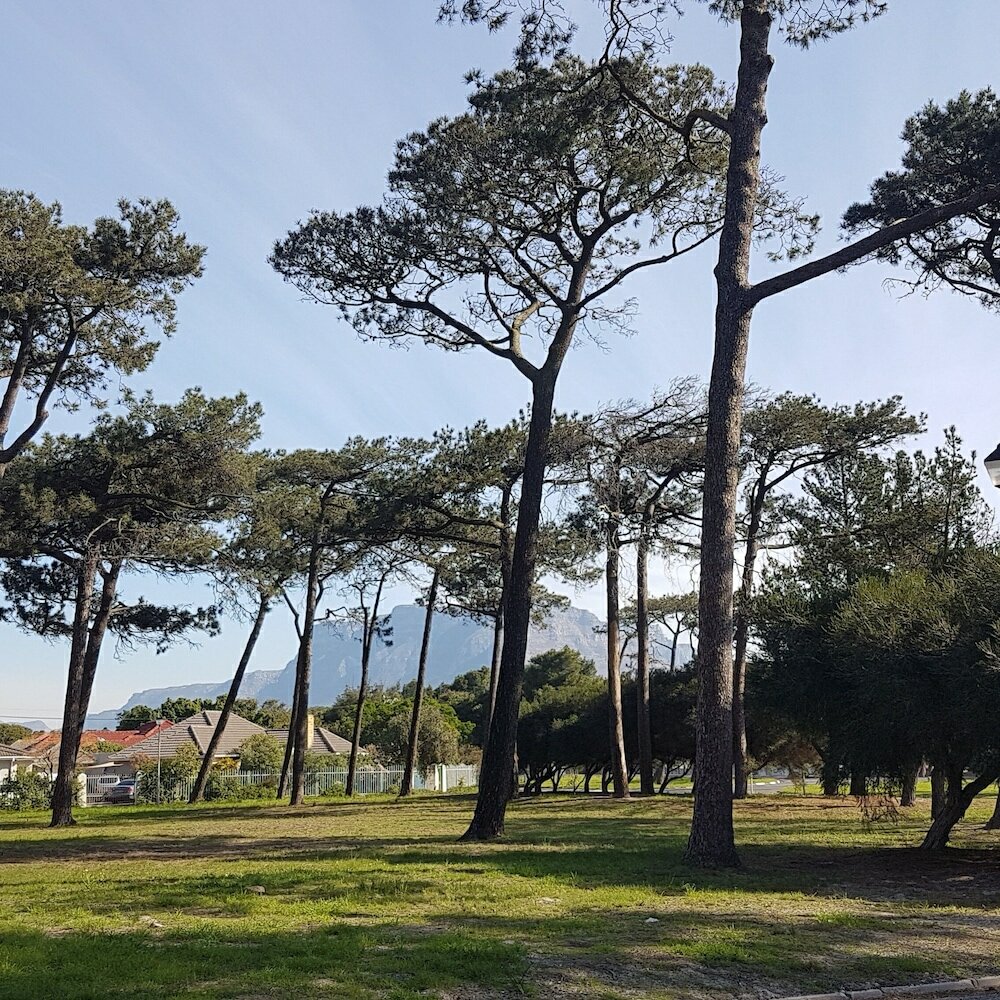 Фото Bradclin House