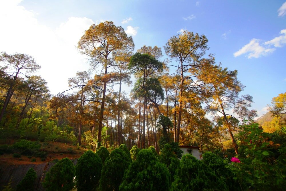 Фото Country Inn Sattal