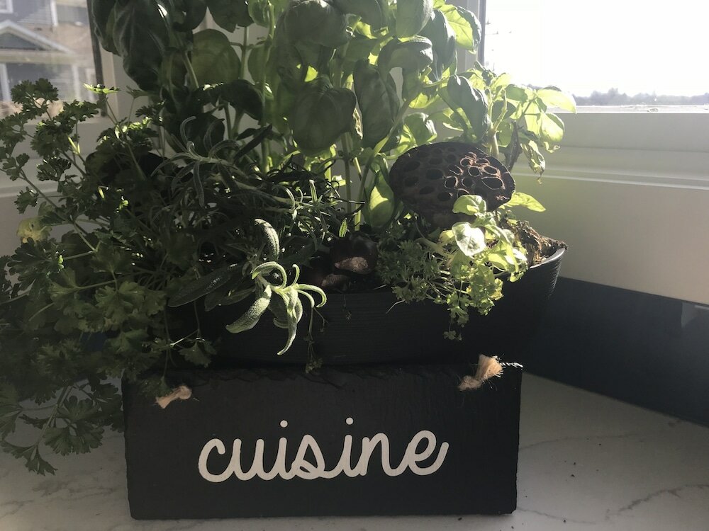 Фото Dicksons Family Suite B&b