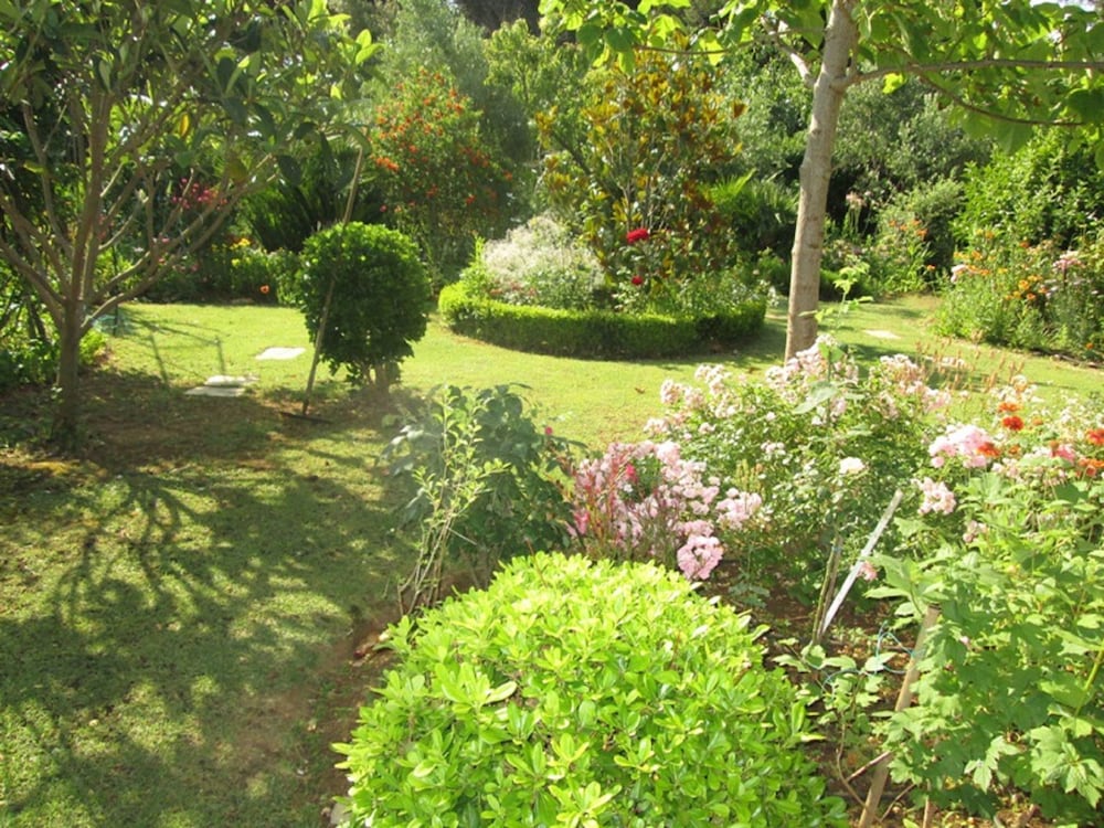 Фото Ivo - With Parking - A1