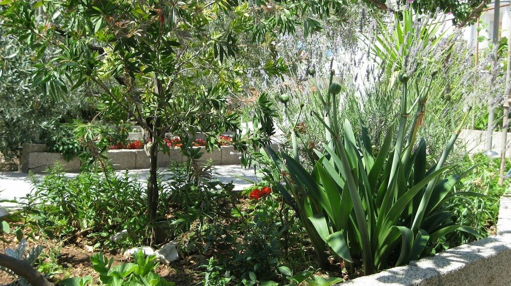 Фото Ljuba - Nice Garden - A2 Plavi