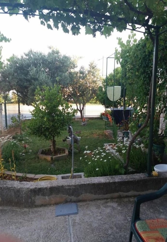 Фото Tomislav - 100 m From sea - H