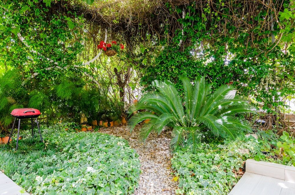 Фото Apartment Kalea