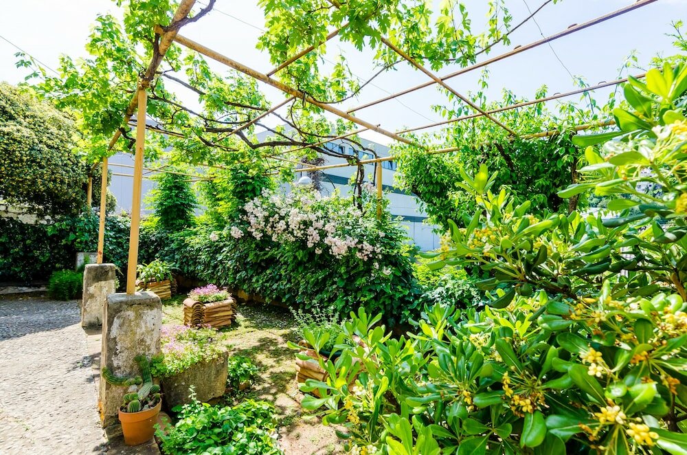 Фото Guest House Ivana