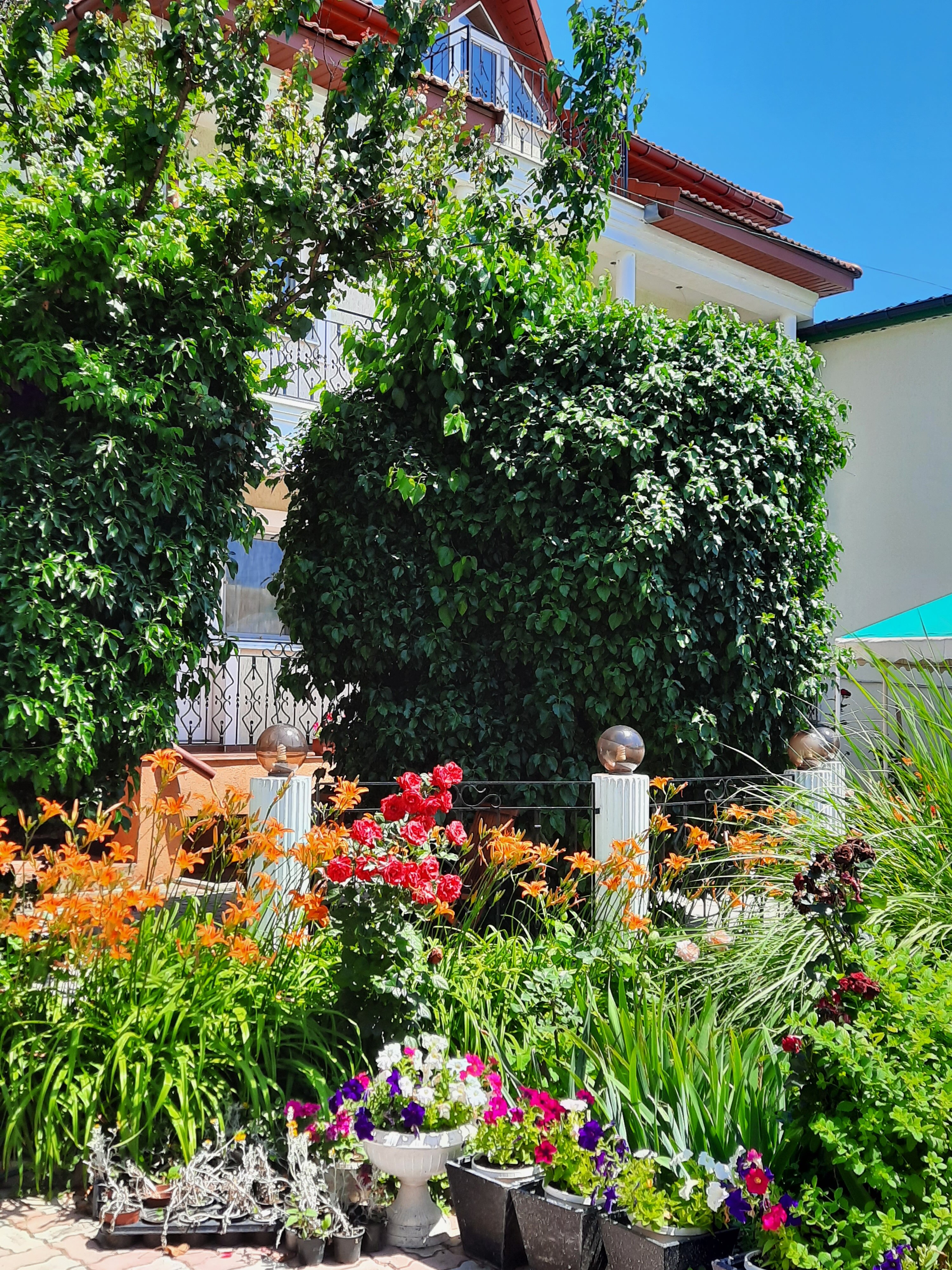 Фото Меридиана-2