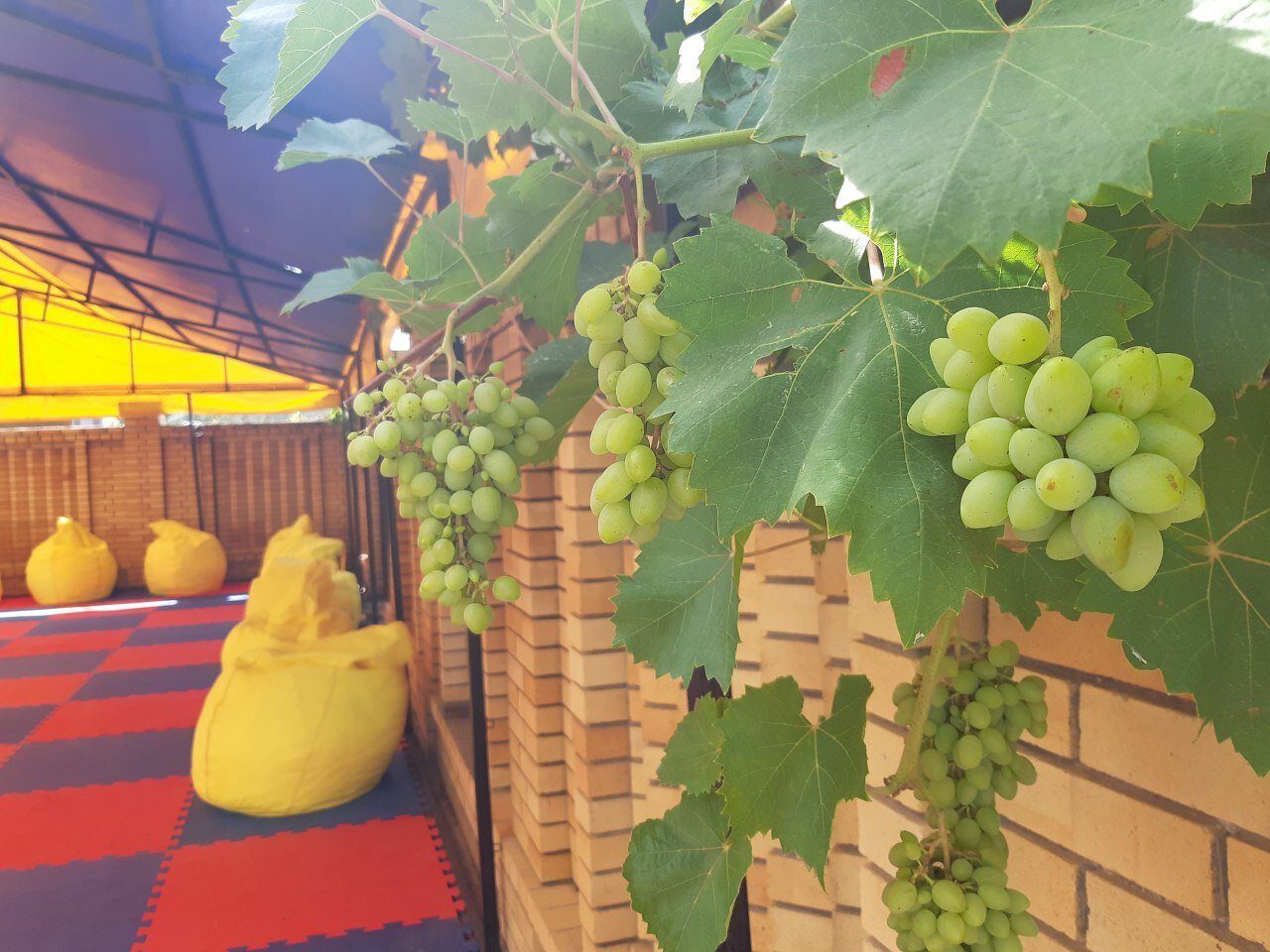 Фото Лиманный берег