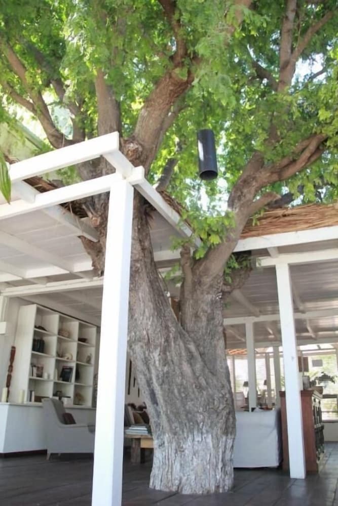 Фото Princesse du Lagon