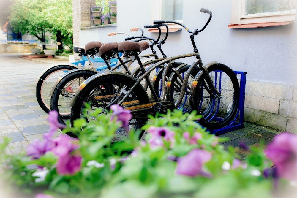 Фото Матисов домик