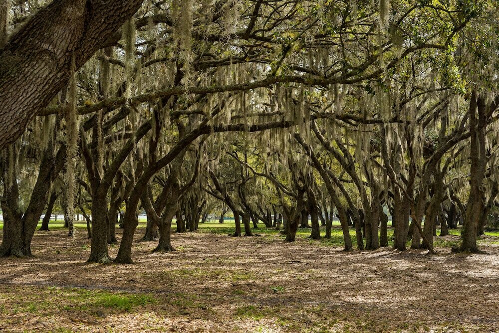 Фото Westgate River Ranch Resort & Rodeo
