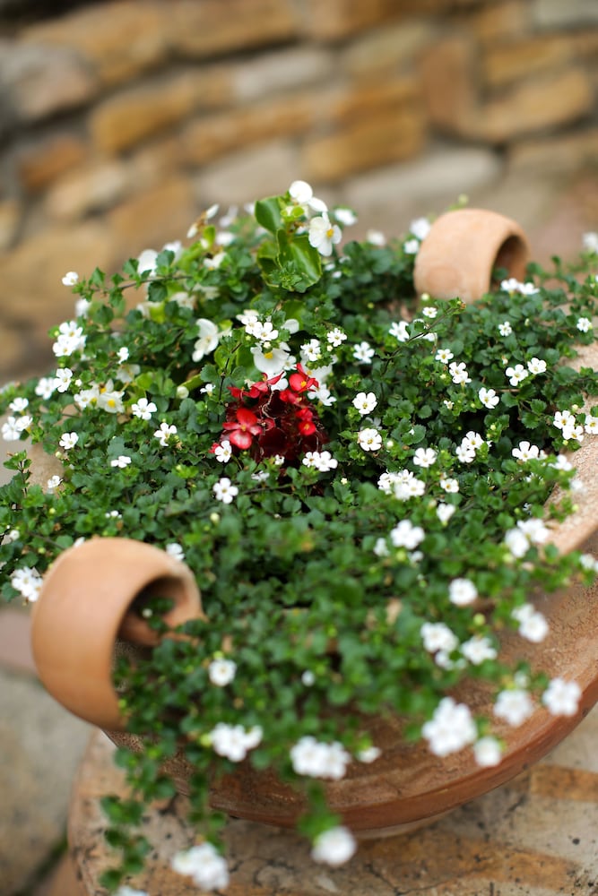 Фото Adina Apartment Hotel Budapest